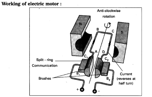 Explain the working of electric motor with a neat diagram. - Sarthaks ...