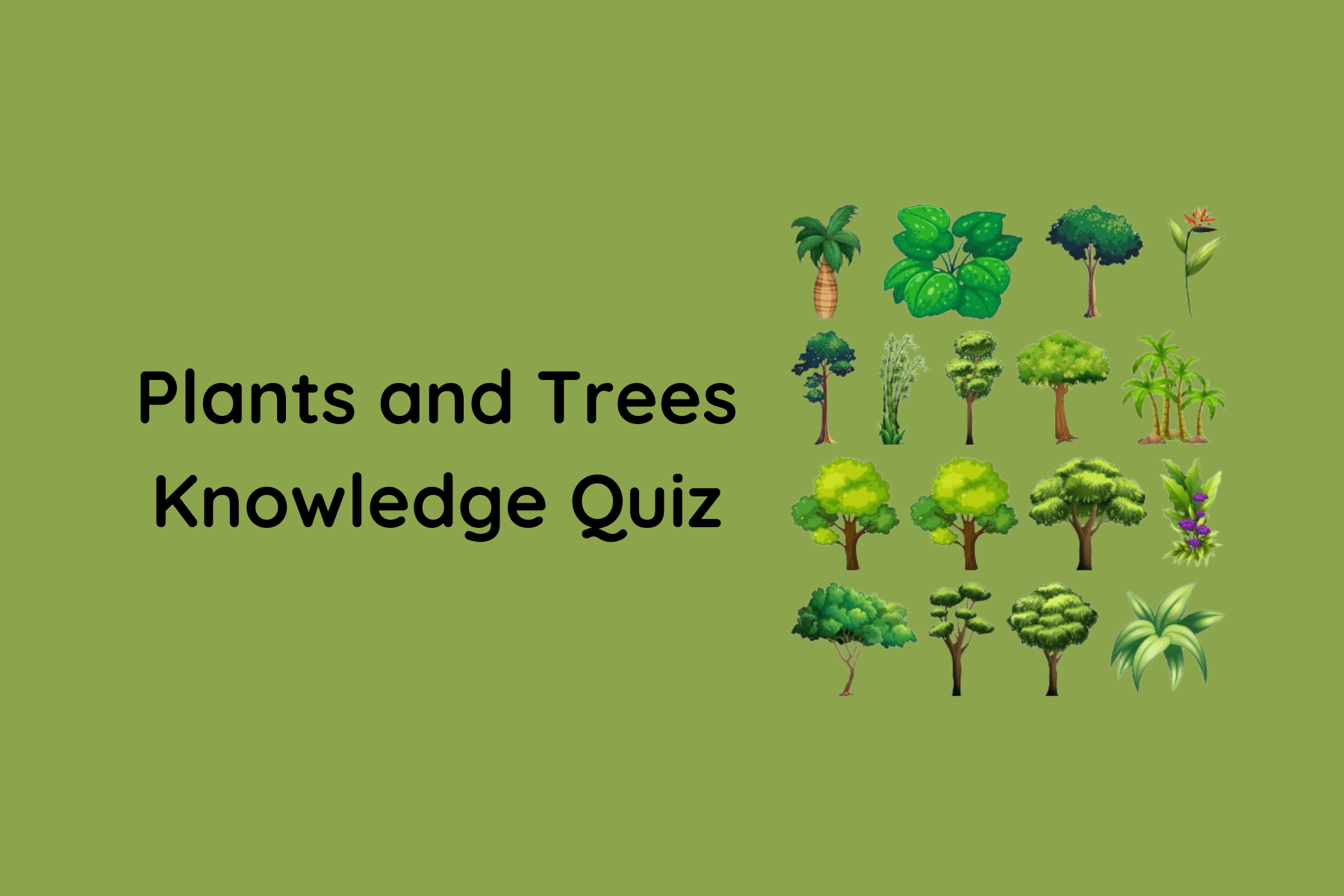 quiz