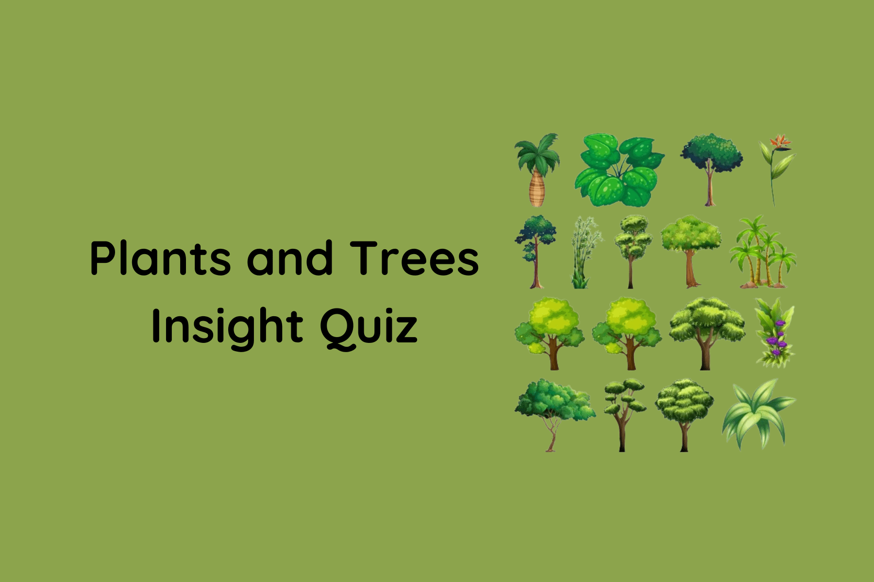 quiz