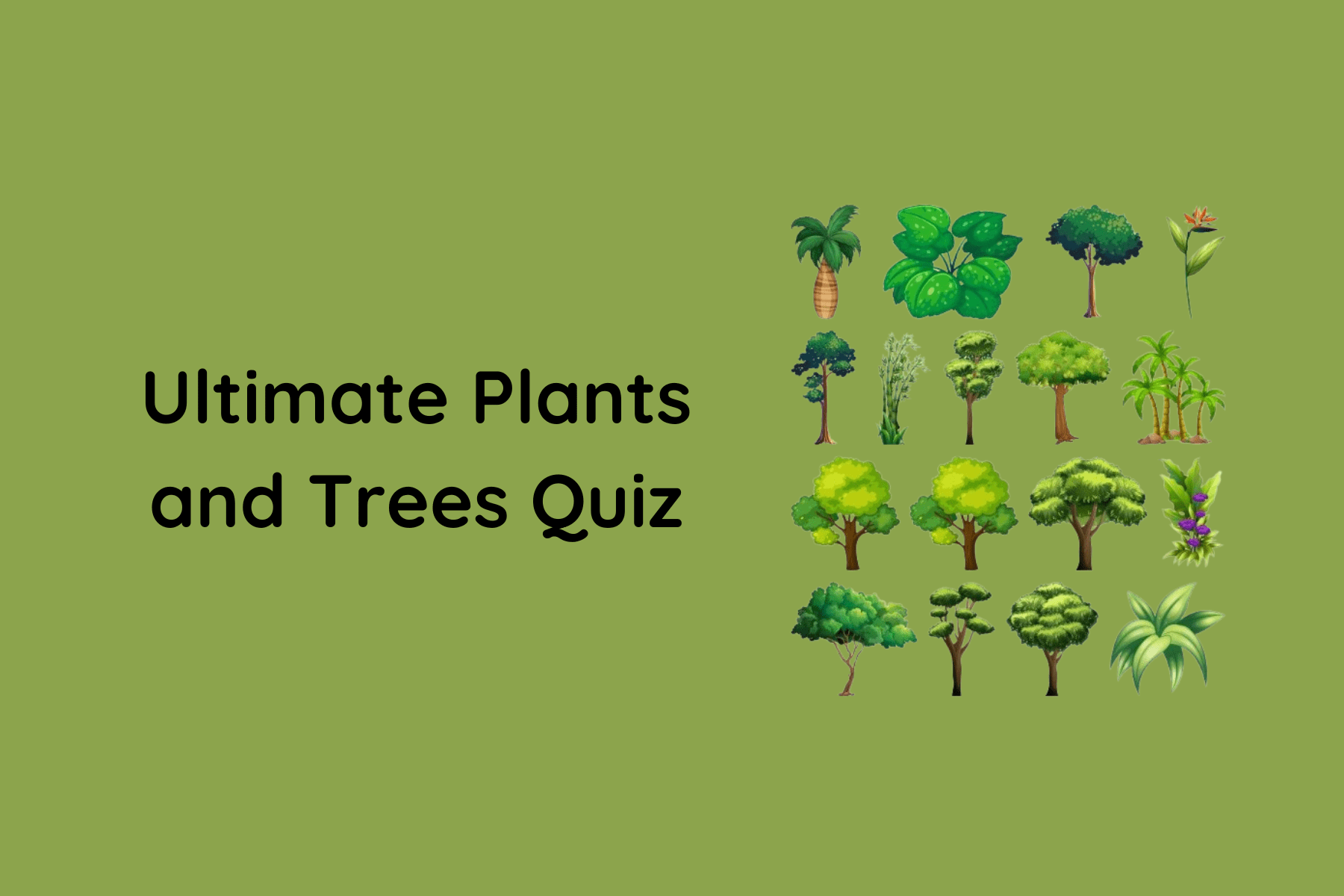 quiz