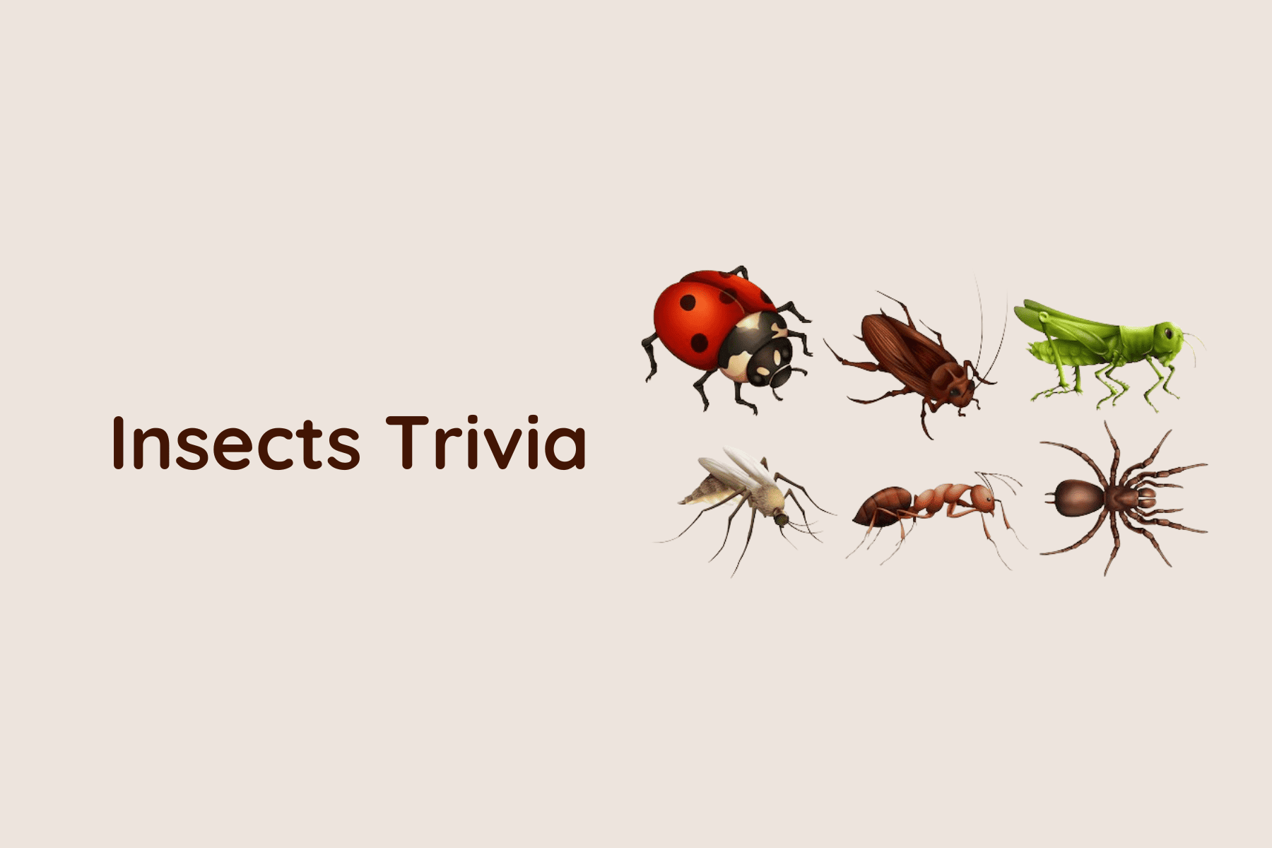 quiz