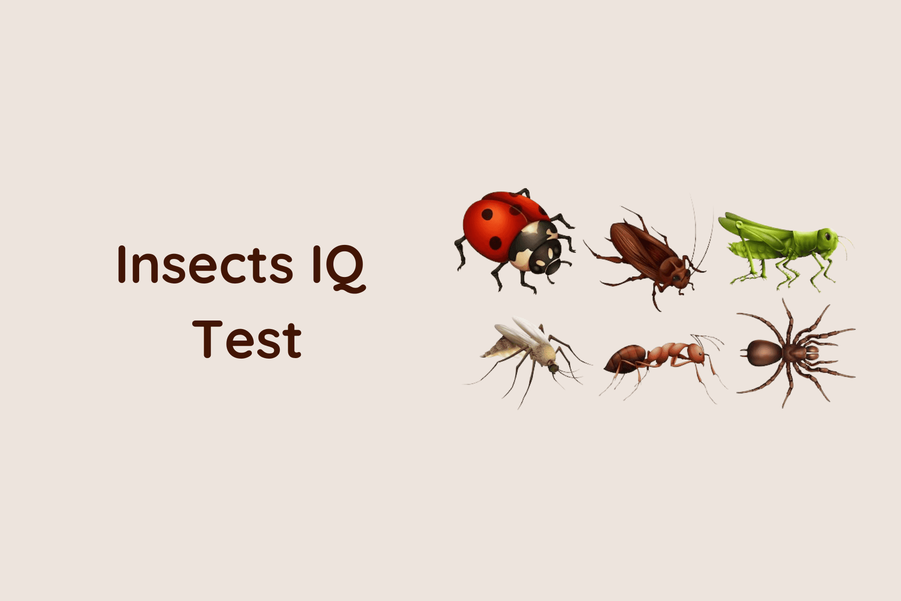 quiz