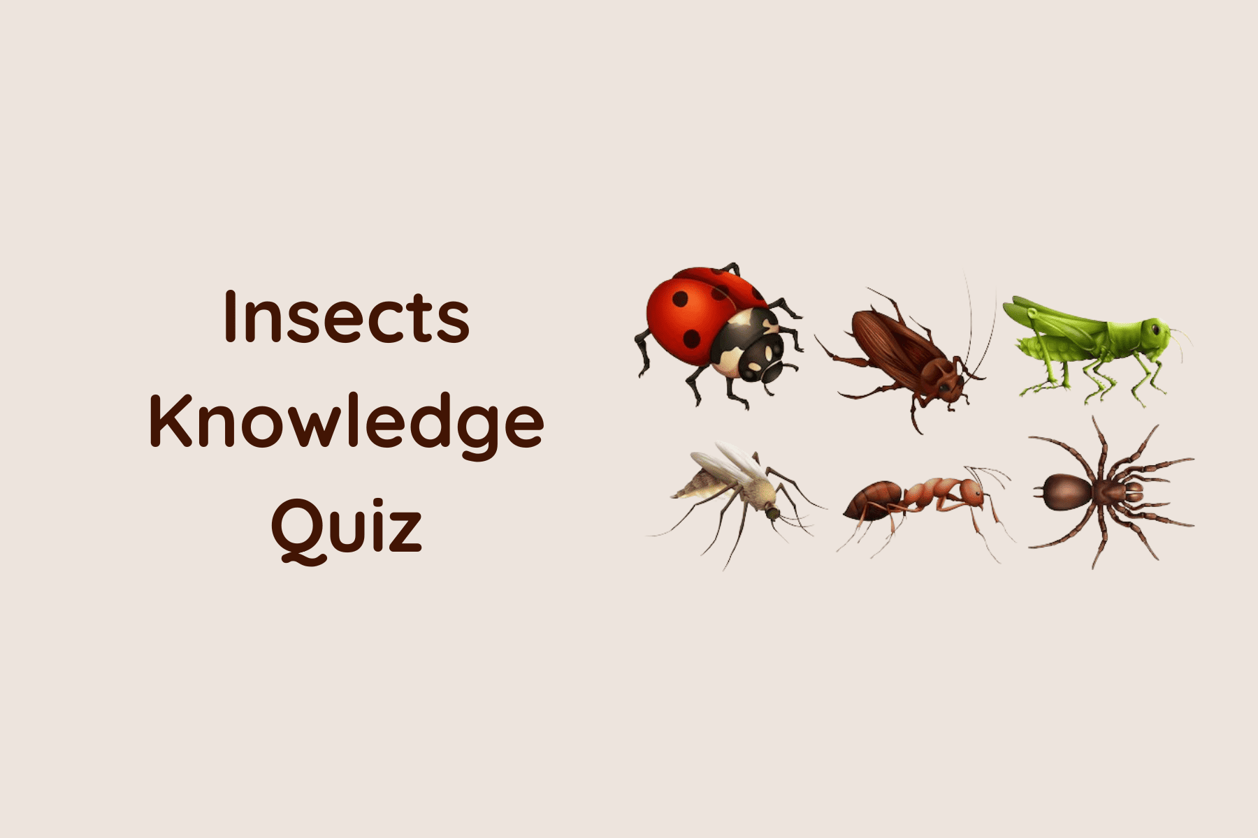 quiz