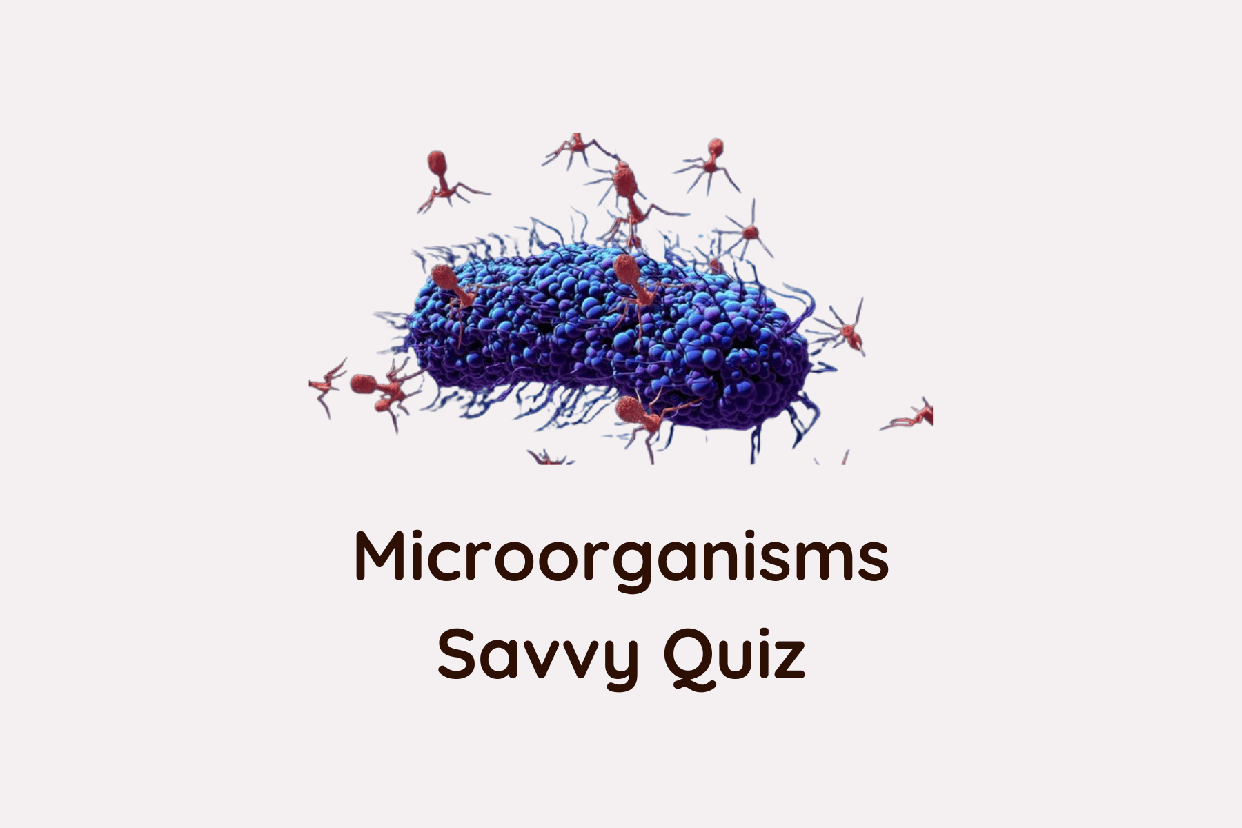 quiz
