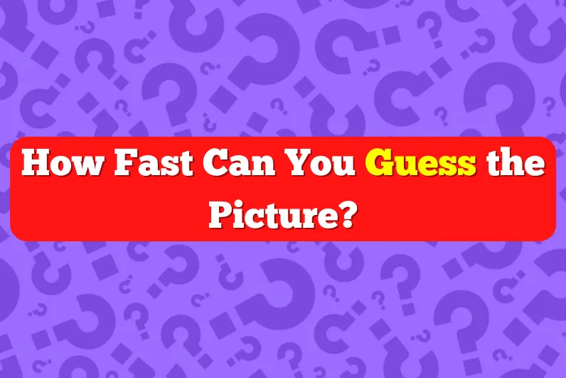 quiz
