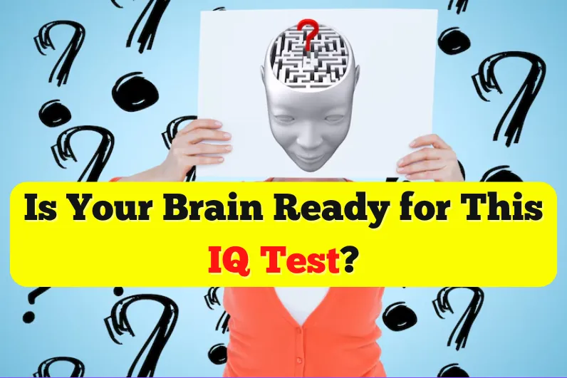 quiz