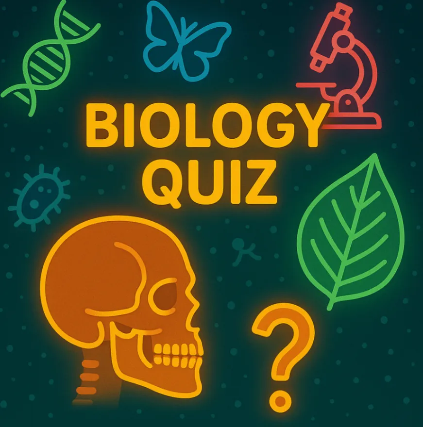quiz