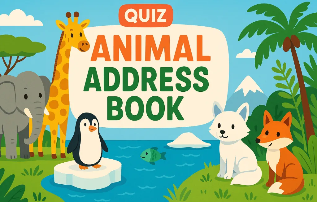 quiz