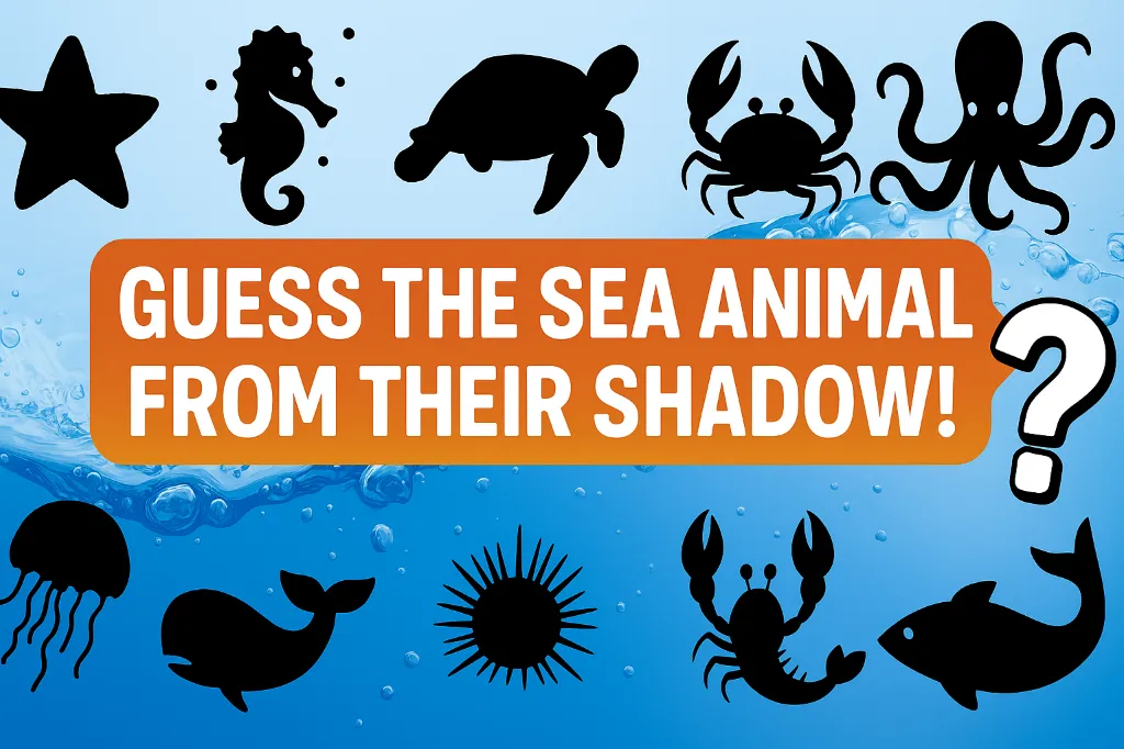 quiz