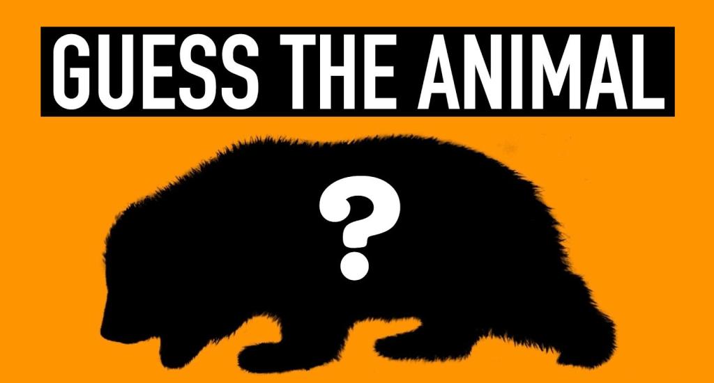 quiz