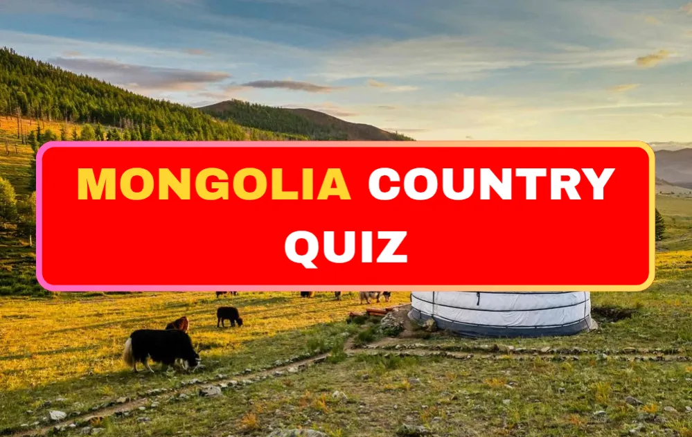 quiz