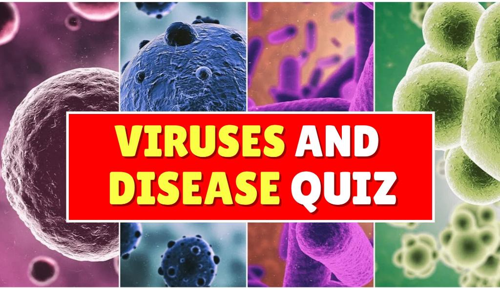 quiz