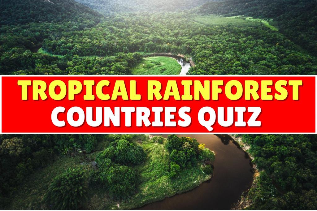 quiz