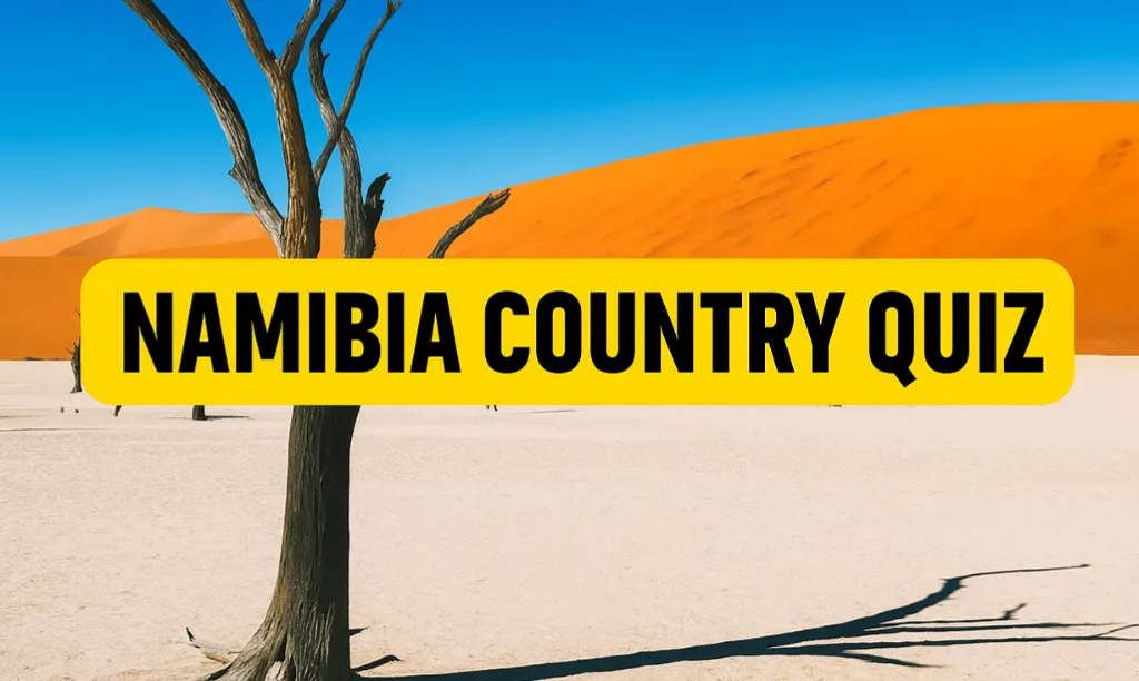 quiz