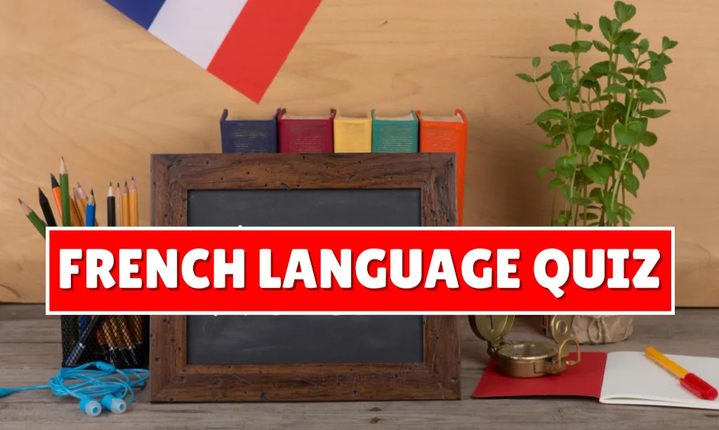 quiz