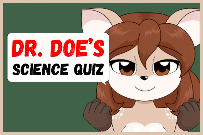 quiz
