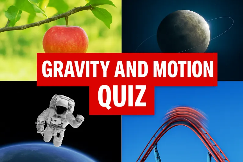 quiz
