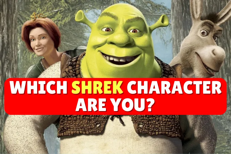 quiz