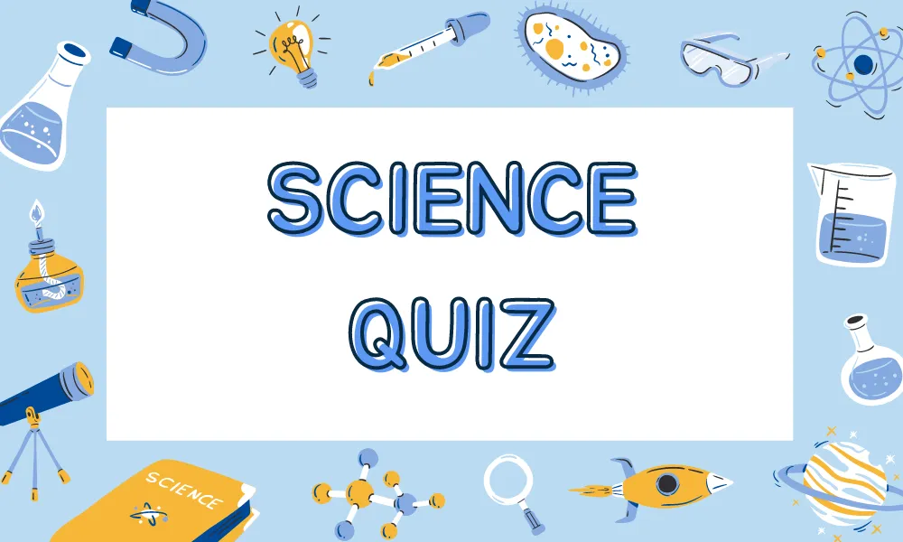 quiz