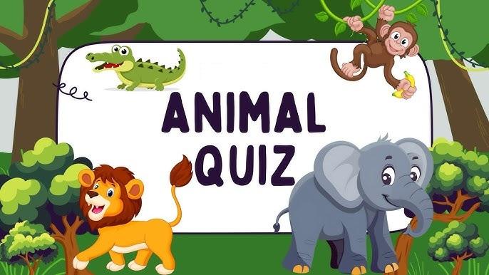 quiz