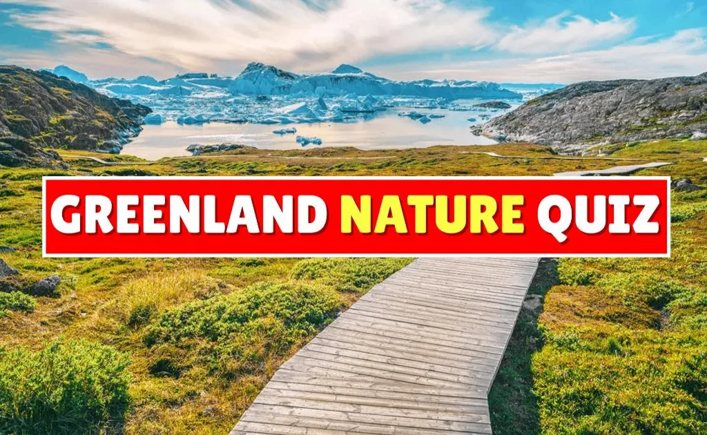 quiz