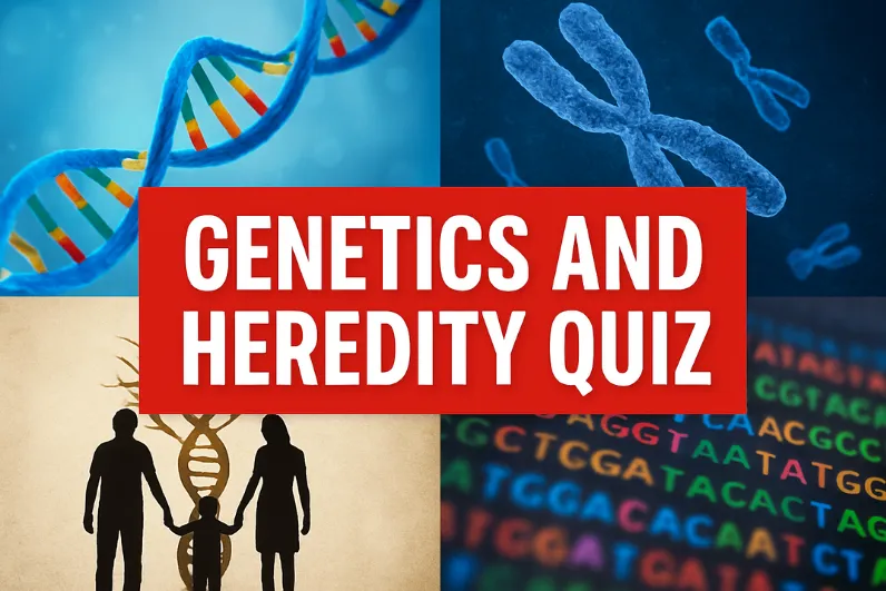 quiz