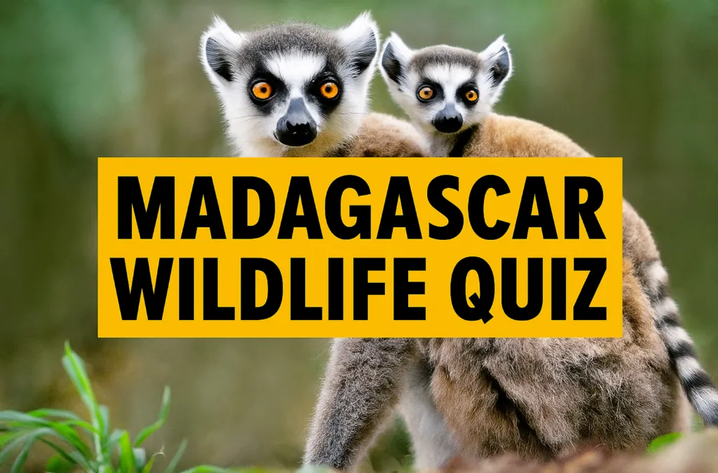 quiz