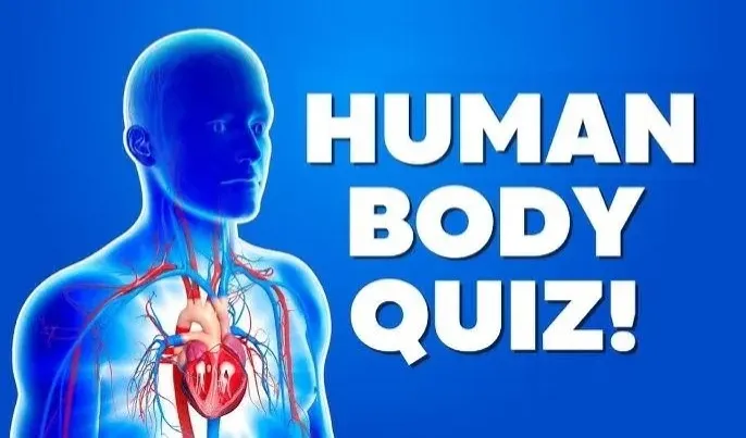 quiz