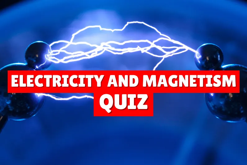 quiz