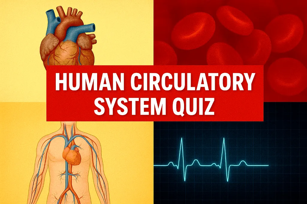 quiz