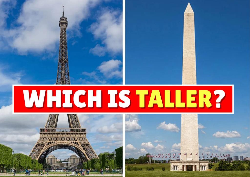 quiz