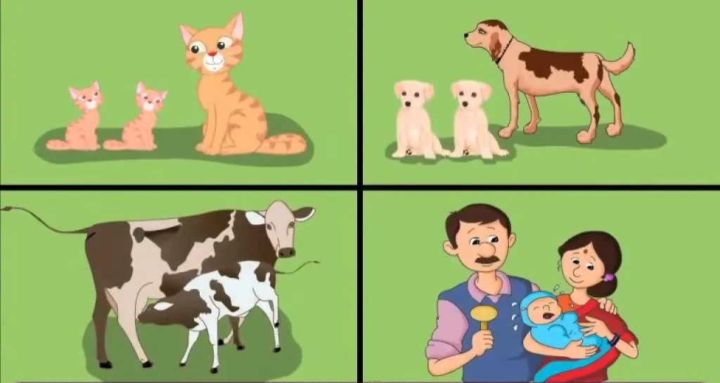 quiz