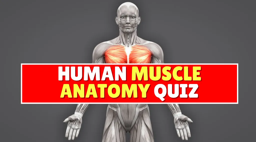quiz