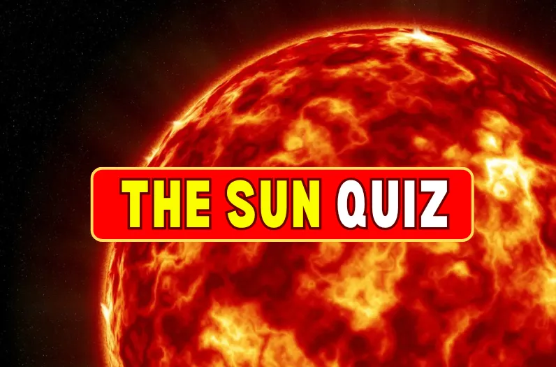 quiz