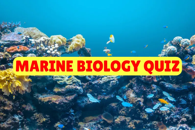 Marine Biology Quiz