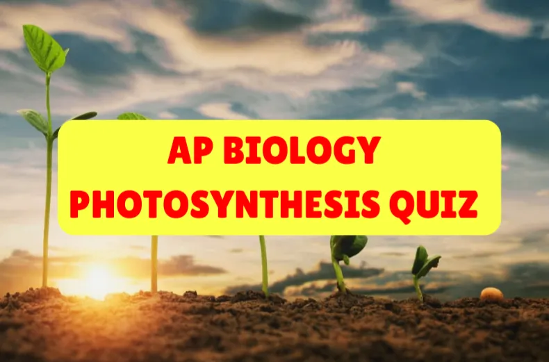 Ap Biololgy Photosynthesis Quiz
