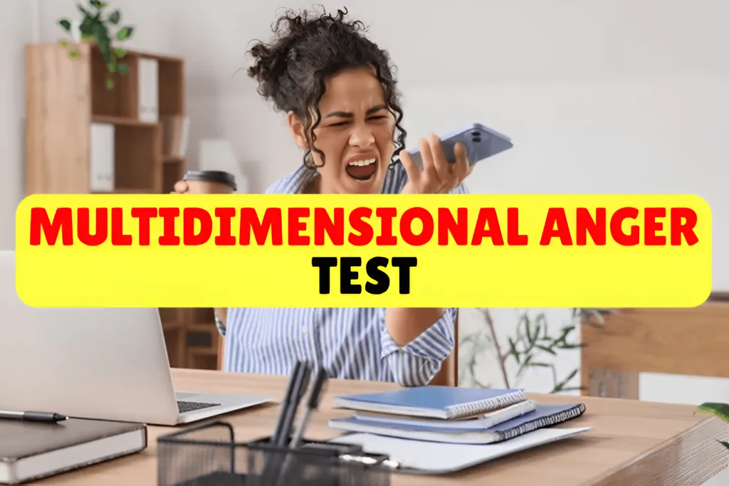 Multidimensional Anger Test