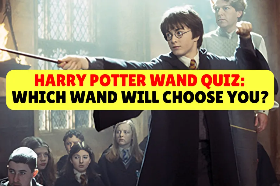 Harry Potter Wand Quiz: Which Wand Will Choose You?