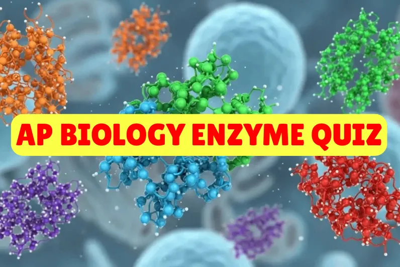 AP Biology Enzyme Quiz