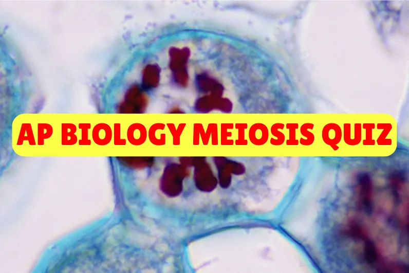 AP Biology Meiosis Quiz