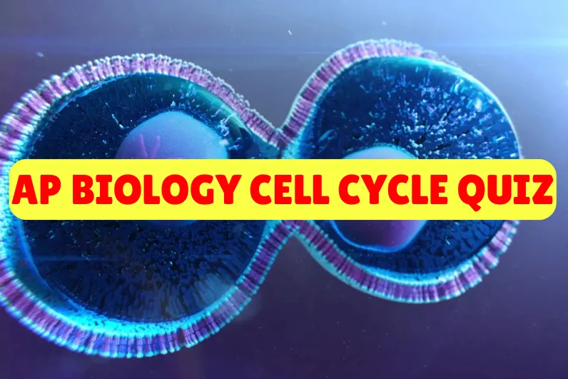 AP Biology Cell Cycle Quiz