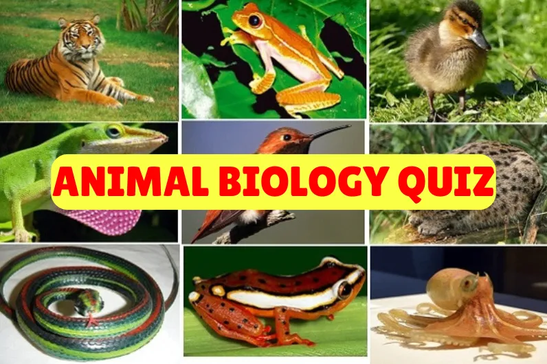 Animal Biology Quiz