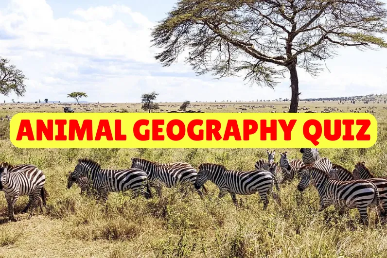 Animal Geography Quiz